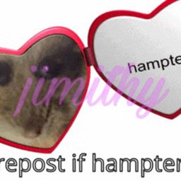 hampter jimithy freetoedit