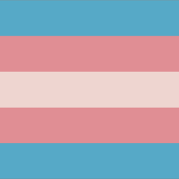 lgbt lgbtq pride flag flags edit edits trans transgender freetoedit