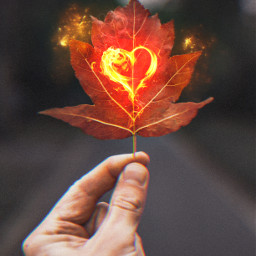 love leaf autumn magical replay heypicsart makeawesome thedenarts freetoedit