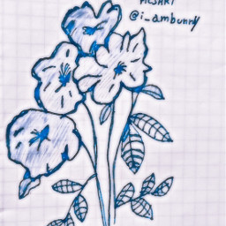 flower flowerframe cute draw cutedraw aesthetic drawings freetoedit