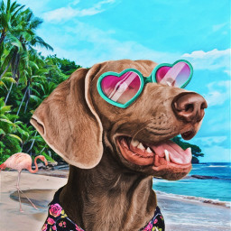 dog vacation surreal feastmagiceffect beach tropical nature flowerbrush removebackground madewithpicsart be_creative imagination myedit enigmaart freetoedit