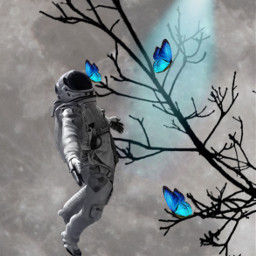 freetoedit moon tree astronaut butterflies picsartchallenge srcufosticker ufosticker