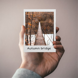 freetoedit polaroid bridge hand autumn ecbridgesto bridgesto