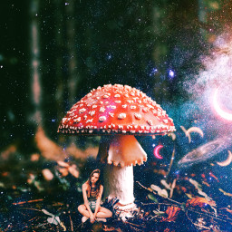 mushrooms psychedelic girl trippy trippyedit heypicsart backgrounds woods forest background colors colorful moon clouds freetoedit