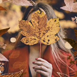 freetoedit autumn tenerife fall fallaesthetic season ircautumnleaf autumnleaf