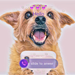 picsart love creative screensaver cute dog editbydk freetoedit srcslidetoanswer slidetoanswer
