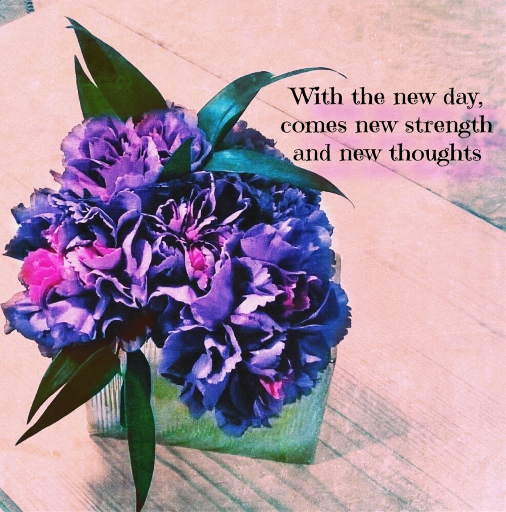 #hi #flowers #freetoedit #newday