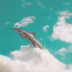 dolphin surreal clouds papicks madewithpicsart myedit sparklesbrush creativity