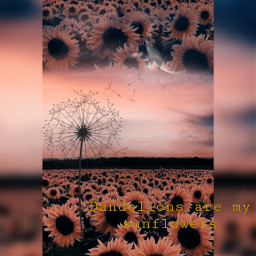 freetoedit dandelions sunflowers dandelionsaremysunflowers sky