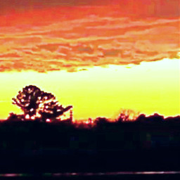 freetoedit nature sunset tree clouds sky country