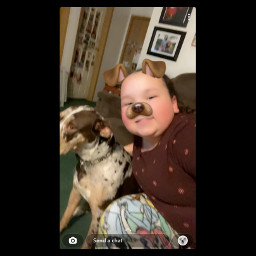 dogfilter