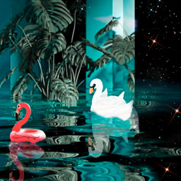 freetoedit infinity flooded poolfloats pinkflamingo swanstyle collage abstractart