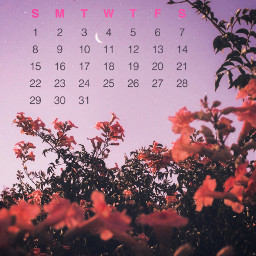 freetoedit springtime flowers calendar picsartchallenge srcmaycalendar2022 maycalendar2022