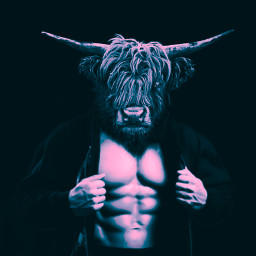 portrait man bull hybrid freetoedit