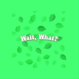 freetoedit me all the time relatable grren vsco sticker wait what waitwhat art summer autum winter spring lime limegreen california