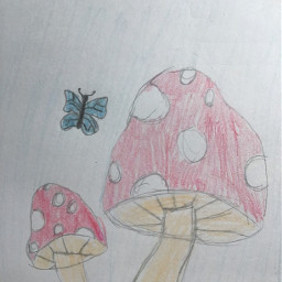 drawing mushroom art butterfly