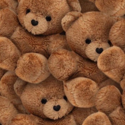 bear teddy teddybears teddybear brownteddybears brown hearts heartnose cuteteddybears cute backgrounds pinterestimage pinterestpicture stickers fluffy squishy freetoedit