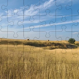 bigskycountry goldenwaves freetoedit srcpuzzleoverlay puzzleoverlay