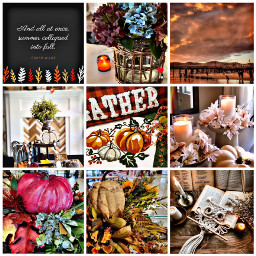 freetoedit fall autumn collage