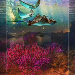 landscape surreal fantasy underwater stars coral sea flowers colorful freetoedit
