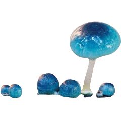 freetoedit mushroom mushrooms mushroomcore mystic aesthetic glowinthedark blue forest ceruleanblue shiny nature goblincore slimy bluemushroom bluemushrooms