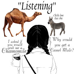 freetoedit hillarymarek originalart chamomiletea tea listen listening mansplaning donkey camel mule relationships dating datingproblems