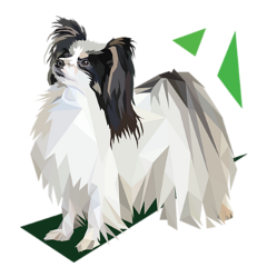 papillon dog butterfly cheeky clever cute adorable canine french puppy bigears fur doggy pup art transparent freetoedit bestfriend mansbestfriend loyal love black white brown green
