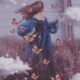 butterflies clouds sparkles freetoedit