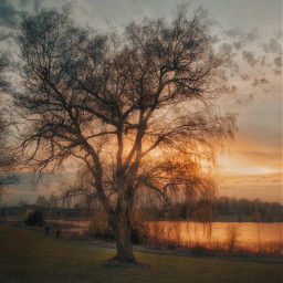 freetoedit evening landscape outdoor metal outside exterior nature sunlight lake photography tree