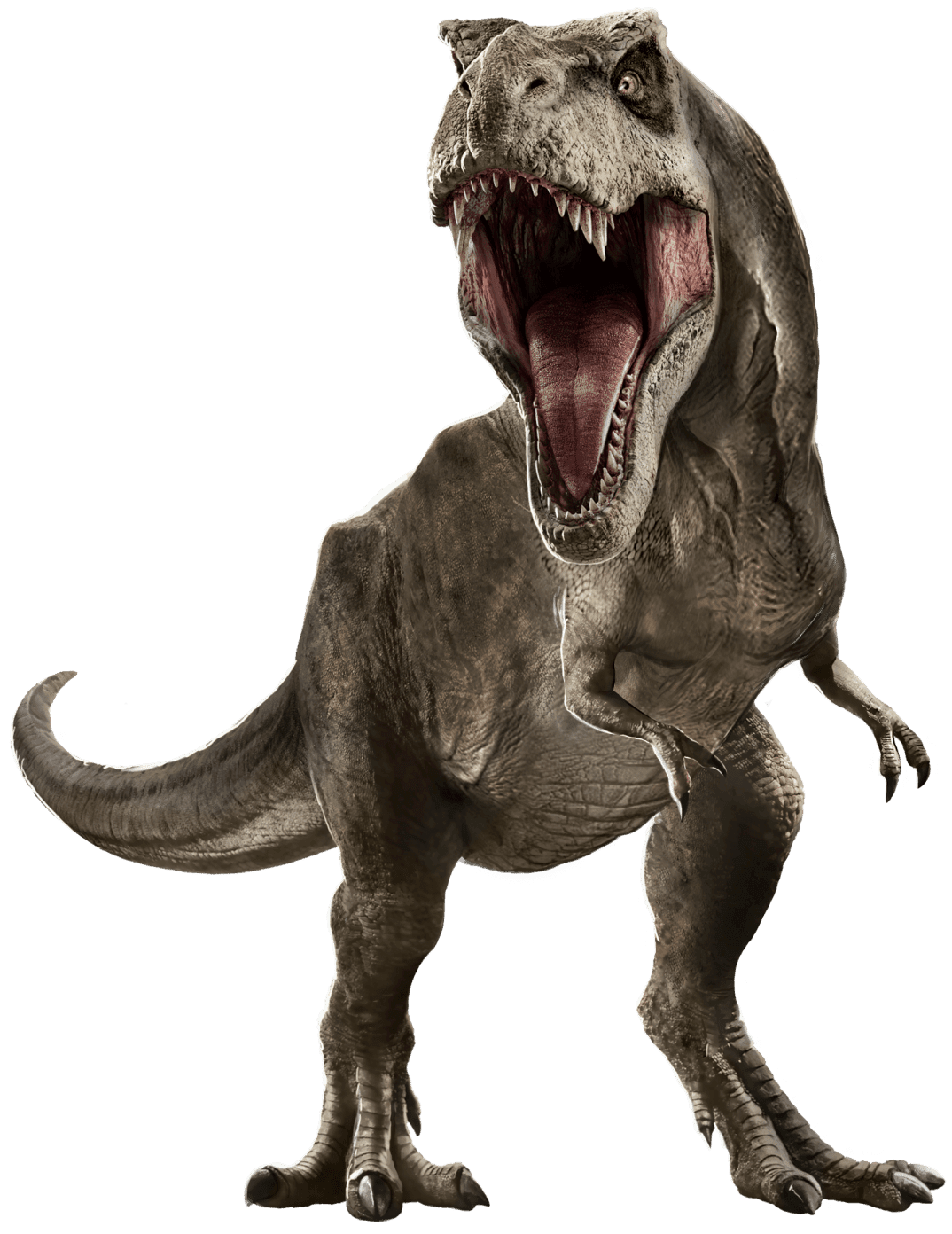 rexy tyrannosaurusrex sticker by @mnqd_n5yow7eg7e2yy46