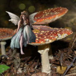 forest mushroom myedit picsartedit fantasy imagination faiirytale fairy myphoto freetoedit