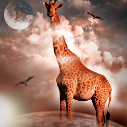 fantasy surrealism skyandclouds moon giraffe birds planet freetoedit ecamiintherightplace amiintherightplace