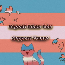 beauty thisIsARepost transgenderflag