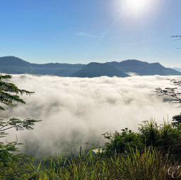 freetoedit puertorico 14 nature mountains foggy photography background inspiration sky naturephotography forest