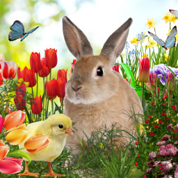 freetoedit easter chick bunny rabbit flowers garden spring