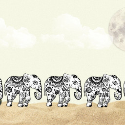 elefante elefantes distinto distintos desiertoflorido freetoedit local