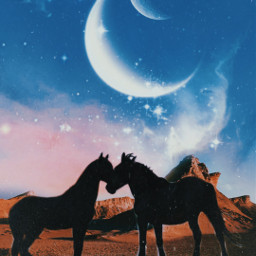 horses nature galaxy planets picsart freetoedit
