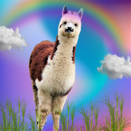 freetoedit llama alpaca cute funny lol rainbow trippy ecanimalpower animalpower