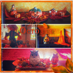 collage orange autumn pumpkins decoration photo herbst freetoedit