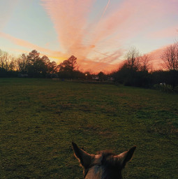 unomisshollywood sunset horselove horseriding gorgeous