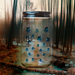batterfly magic fairy light blue jar forest freetoedit ircmagicglassjar magicglassjar