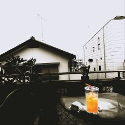 freetoedit ginger icedtea chilling athome blackandwhite color earlysummer july summervibes