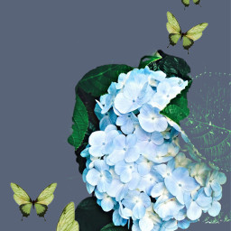 girl woman floral fanart butterfly picsart freetoedit