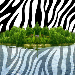 freetoedit zebra
