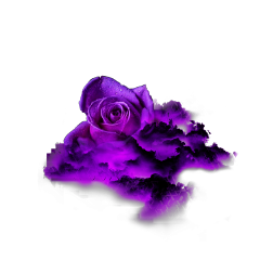 rose purple rosacloud mauve violet cloud rosecloud amethyst color lavendercolored abstractcloud abstractclouds abstractrose freetoedit