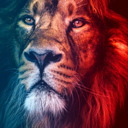 freetoedit lion neon red blue glitch awesome animal edit