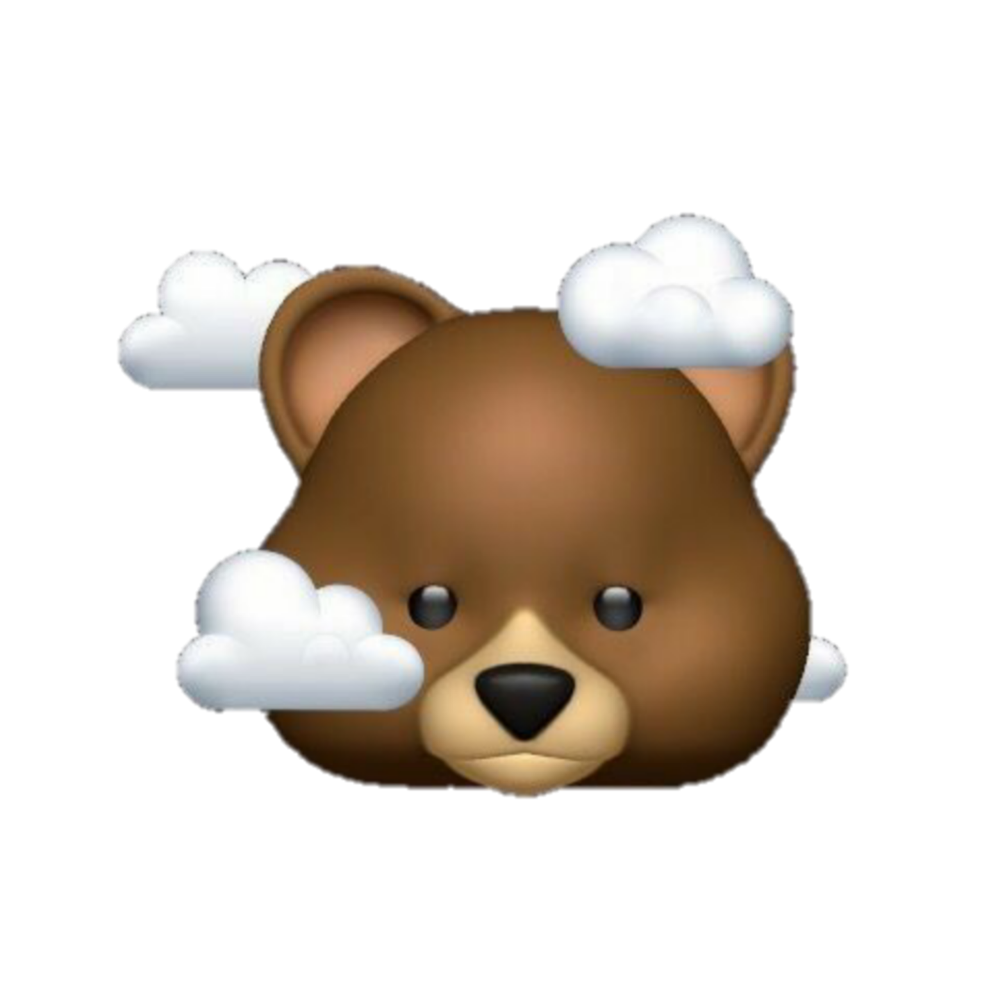 bear cute animal iphone ios animoji sticker by @sw33t4oney