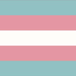 lgbt lgbtq pride trans transgender flag flags edit edits aesthetic freetoedit