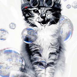 freetoedit cat bubbles catemoji ripplemask fcmasterschallengeshareyourpets masterschallengeshareyourpets