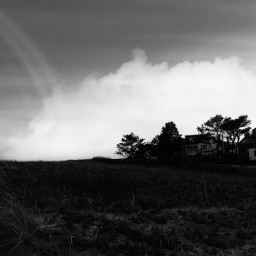freetoedit outside outdoor exterior blackandwhitenature posteraesthetic trees field scenery plants leaves plant gardencoreaesthetic beachhouse dunegrass houses sky clouds cloudsandsky skyaesthetic cloudaestheticwithabuilding eveningsky endoftheday outdoors skyandclouds pcblackandwhitephotography blackandwhitephotography
